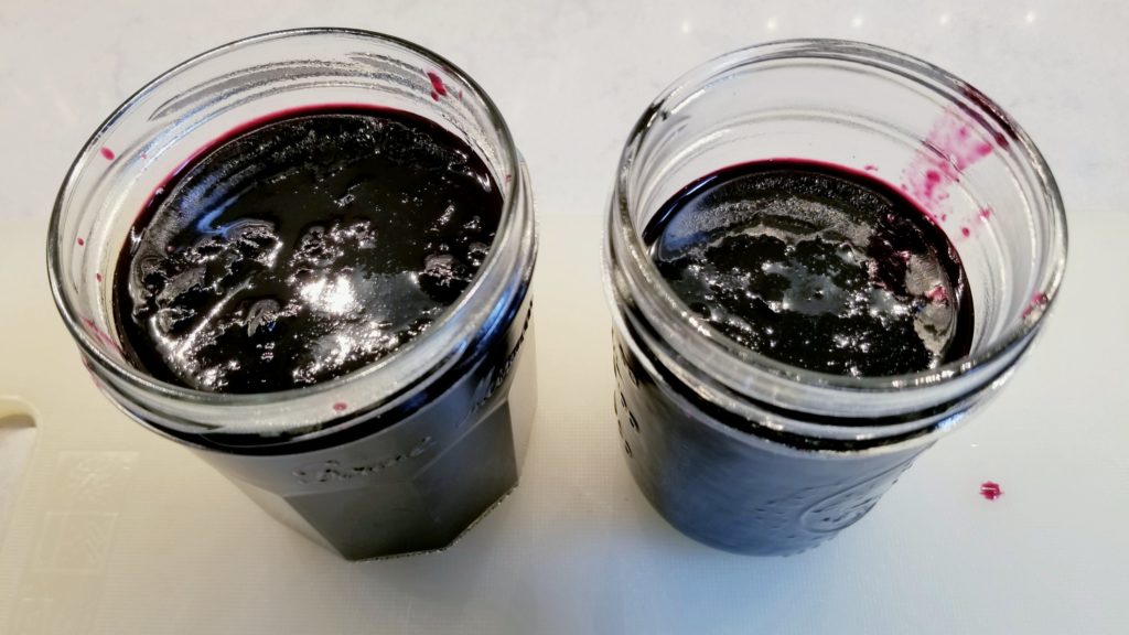 Fresh Blueberry Jam in Bread Machine Meera Flips Burgers